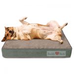 Orthopedic Dog Beds by Buddy Beds