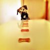 10 People Foods You Can Feed Your Dog